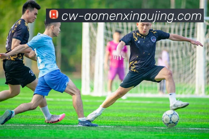 新葡京娱乐品牌故事